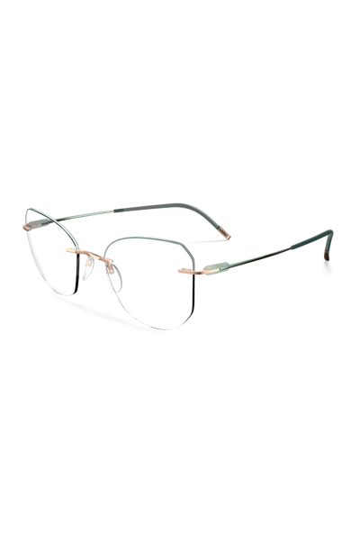 Оправа для очков Silhouette 5561_LM 3685 54/17