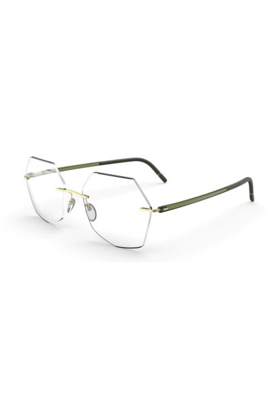 Оправа для очков Silhouette 5567_OD 5545 57/16