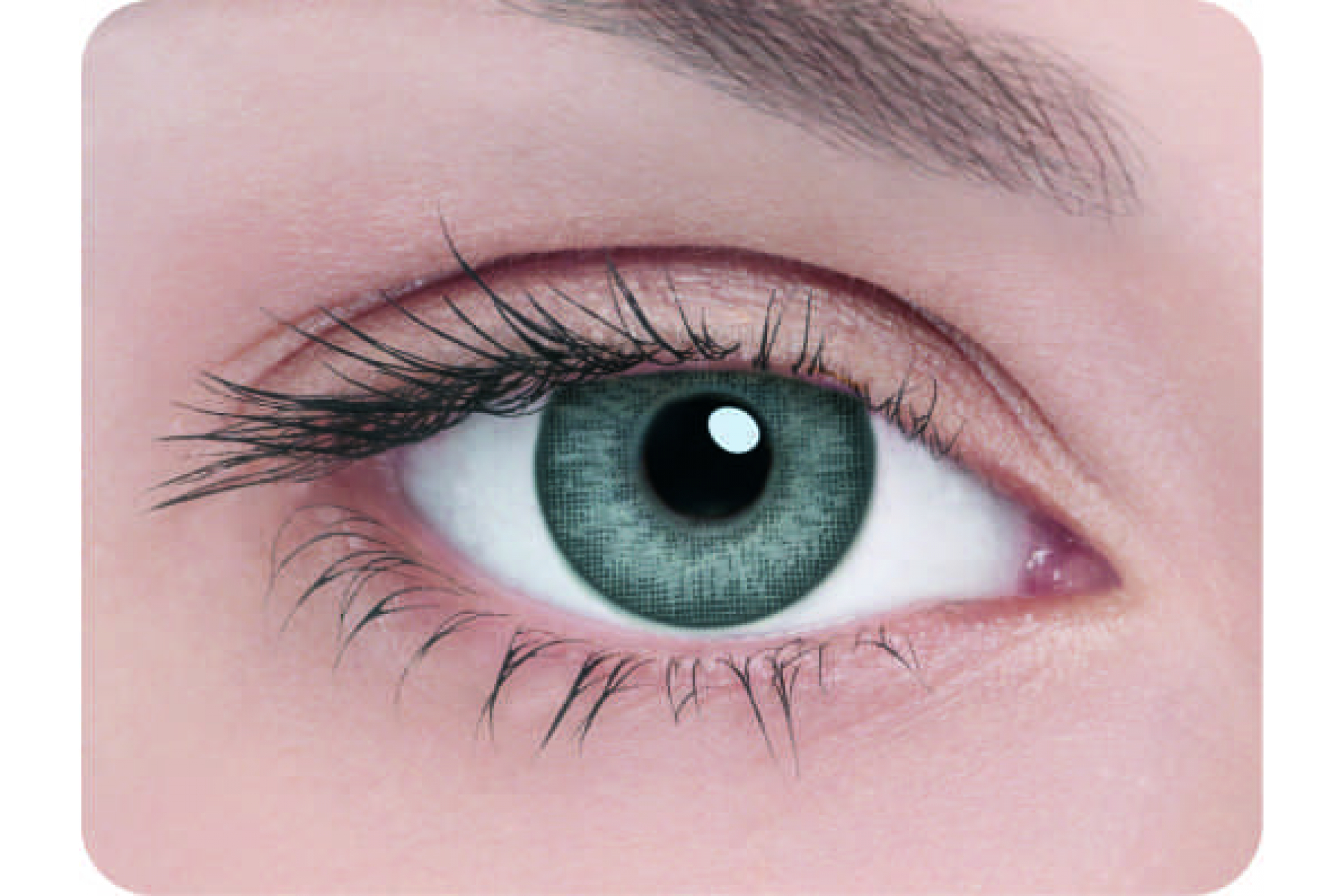 Контактные линзы Adria 2 tone gray 3 мес. (2 линзы)