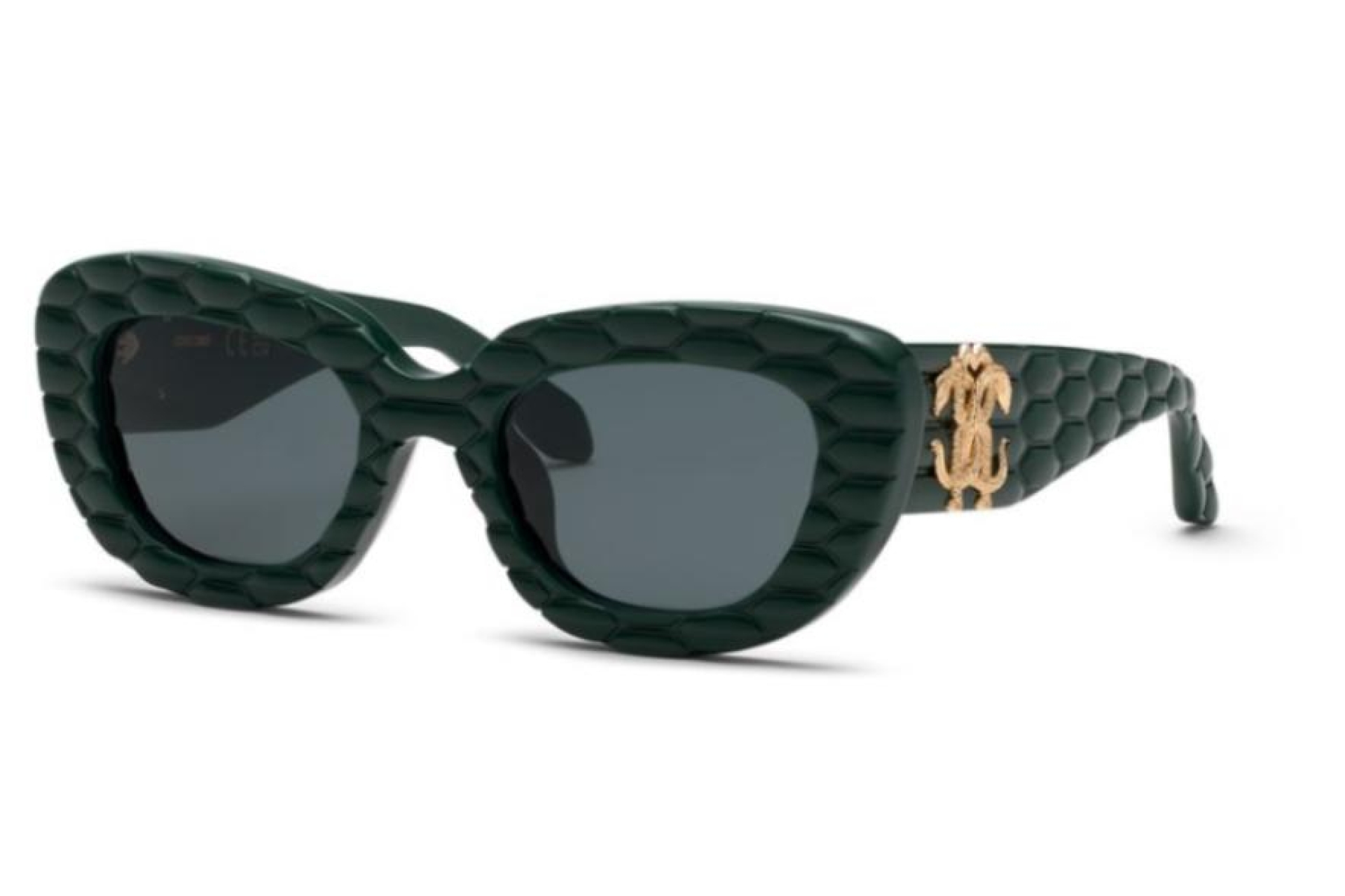 Солнцезащитные очки Roberto Cavalli 058M 0D80