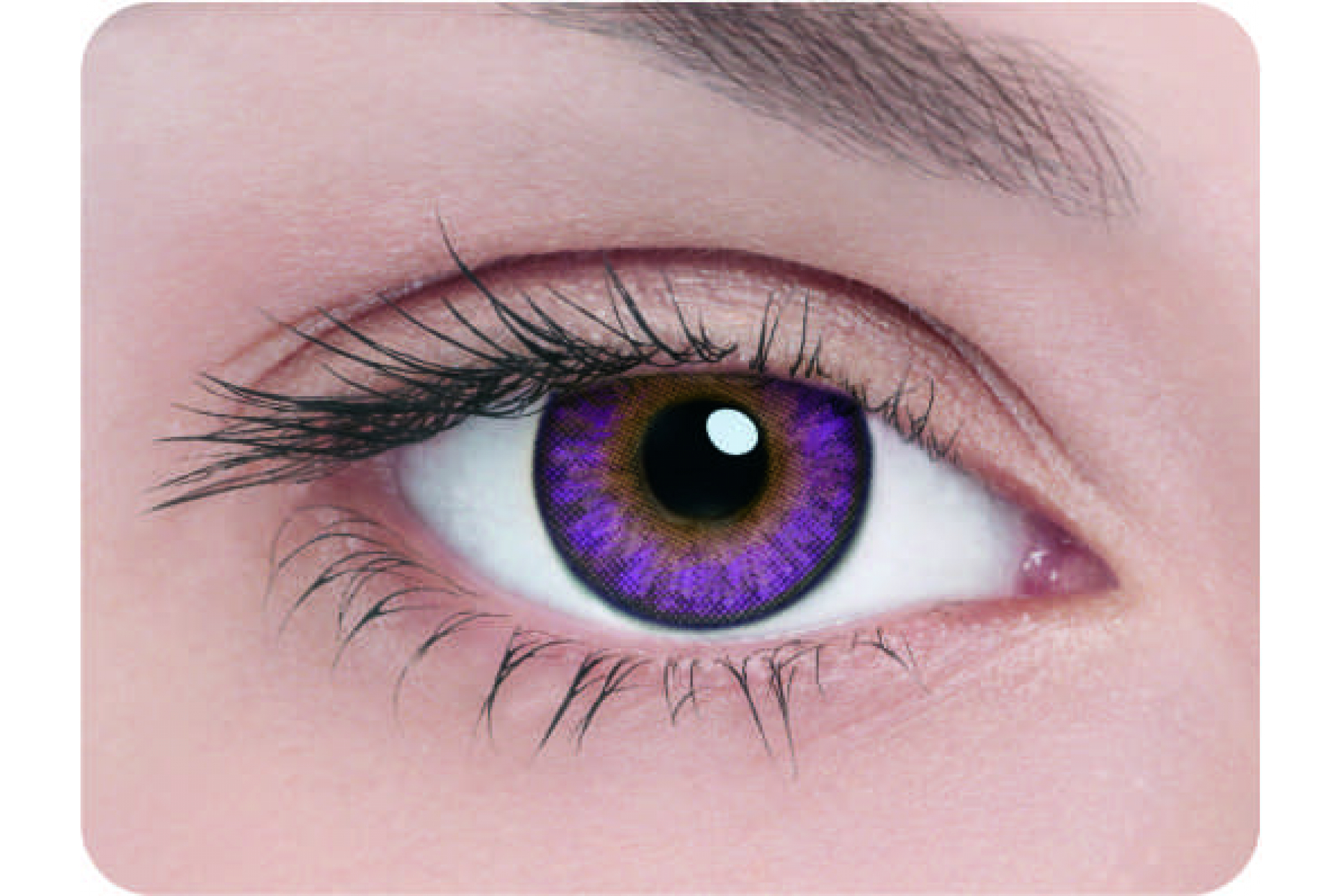 Контактные линзы Adria 3 tone amethust 3 мес. (2 линзы)