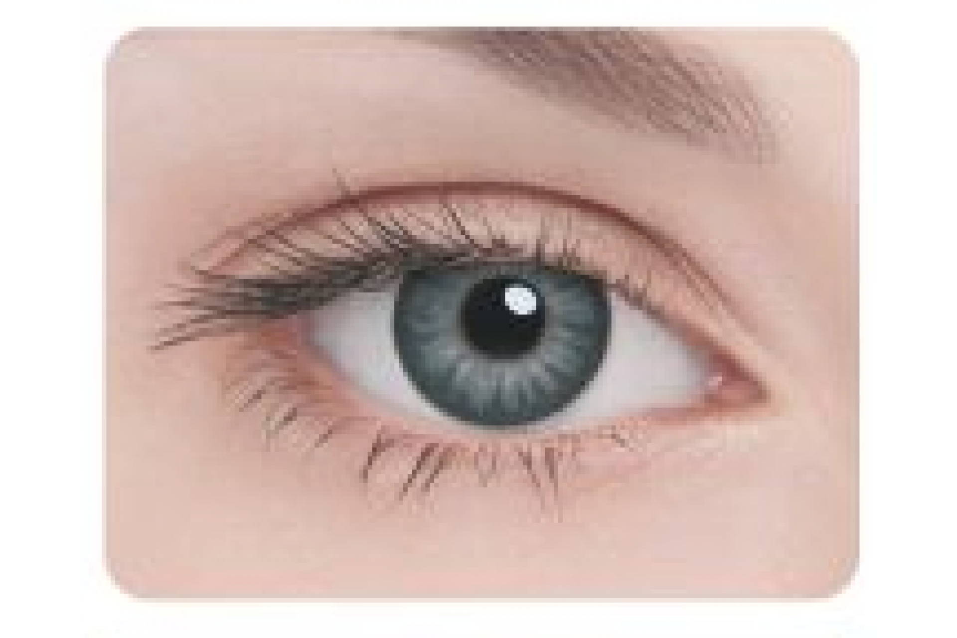 Контактные линзы Adria Glamorous Gray 3 мес. (2 линзы)