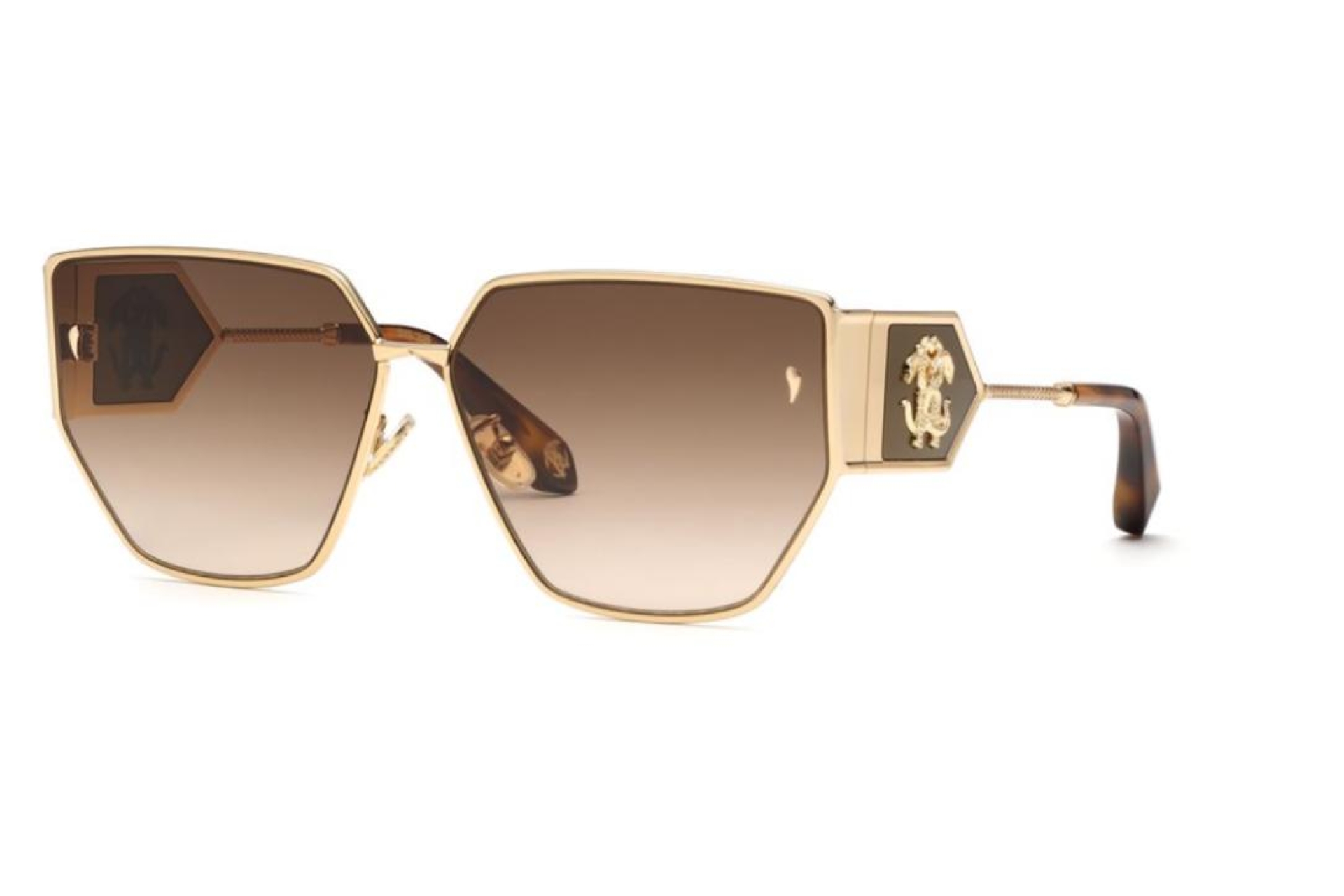 Солнцезащитные очки Roberto Cavalli 092 300