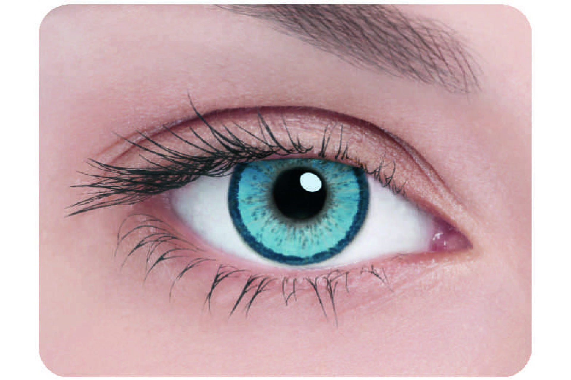 Контактные линзы Elegant blue 3 мес. (2 линзы)