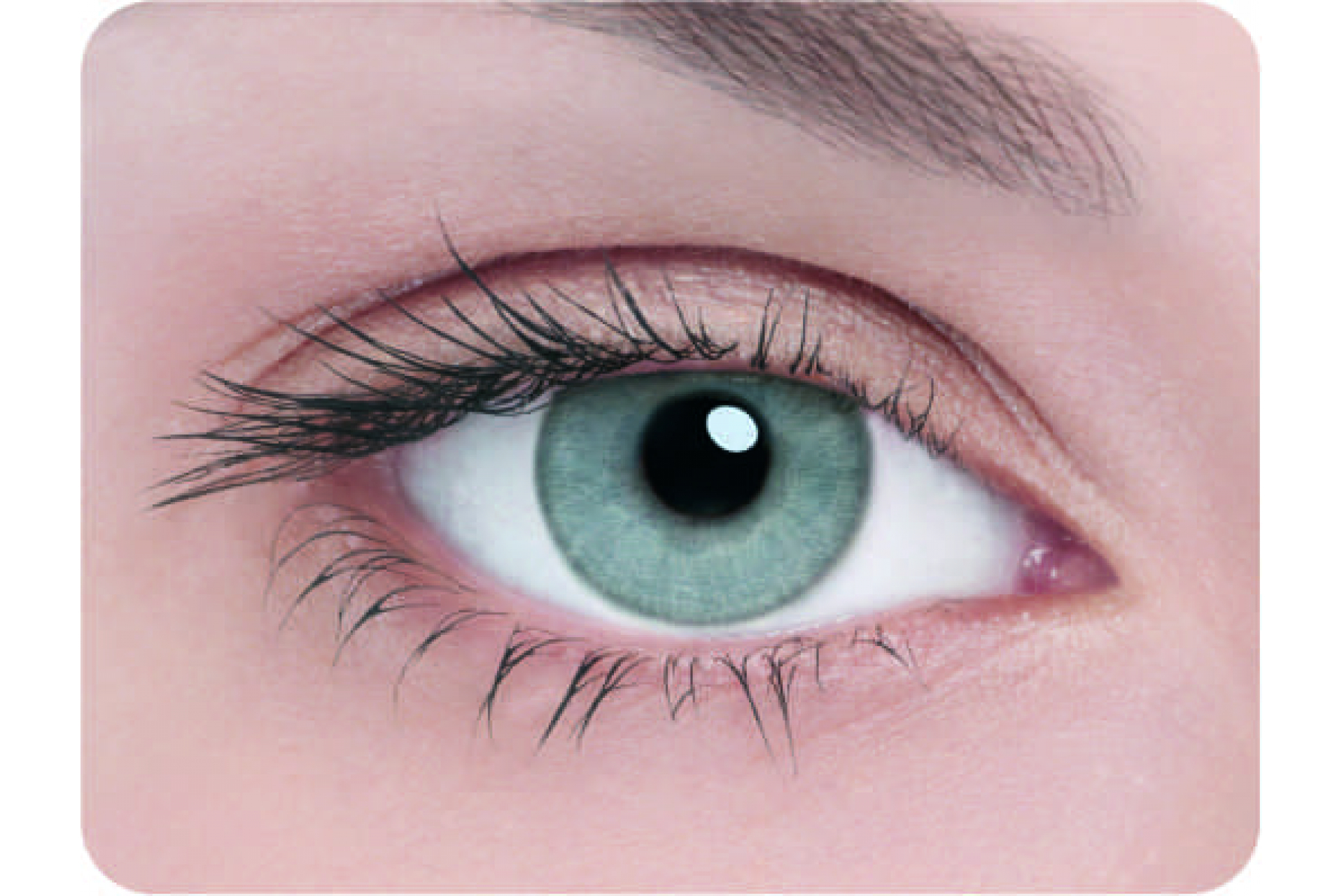 Контактные линзы Adria 1 tone gray 3 мес. (2 линзы)