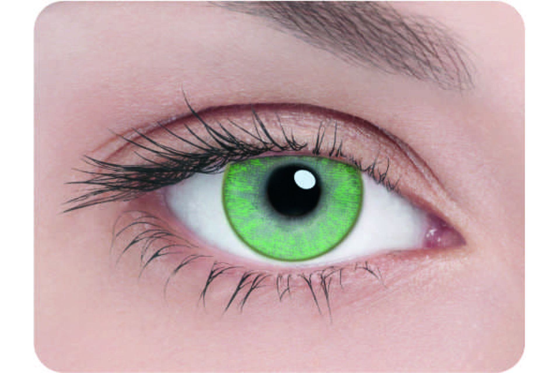 Контактные линзы Adria 1 tone green 3 мес. (2 линзы)