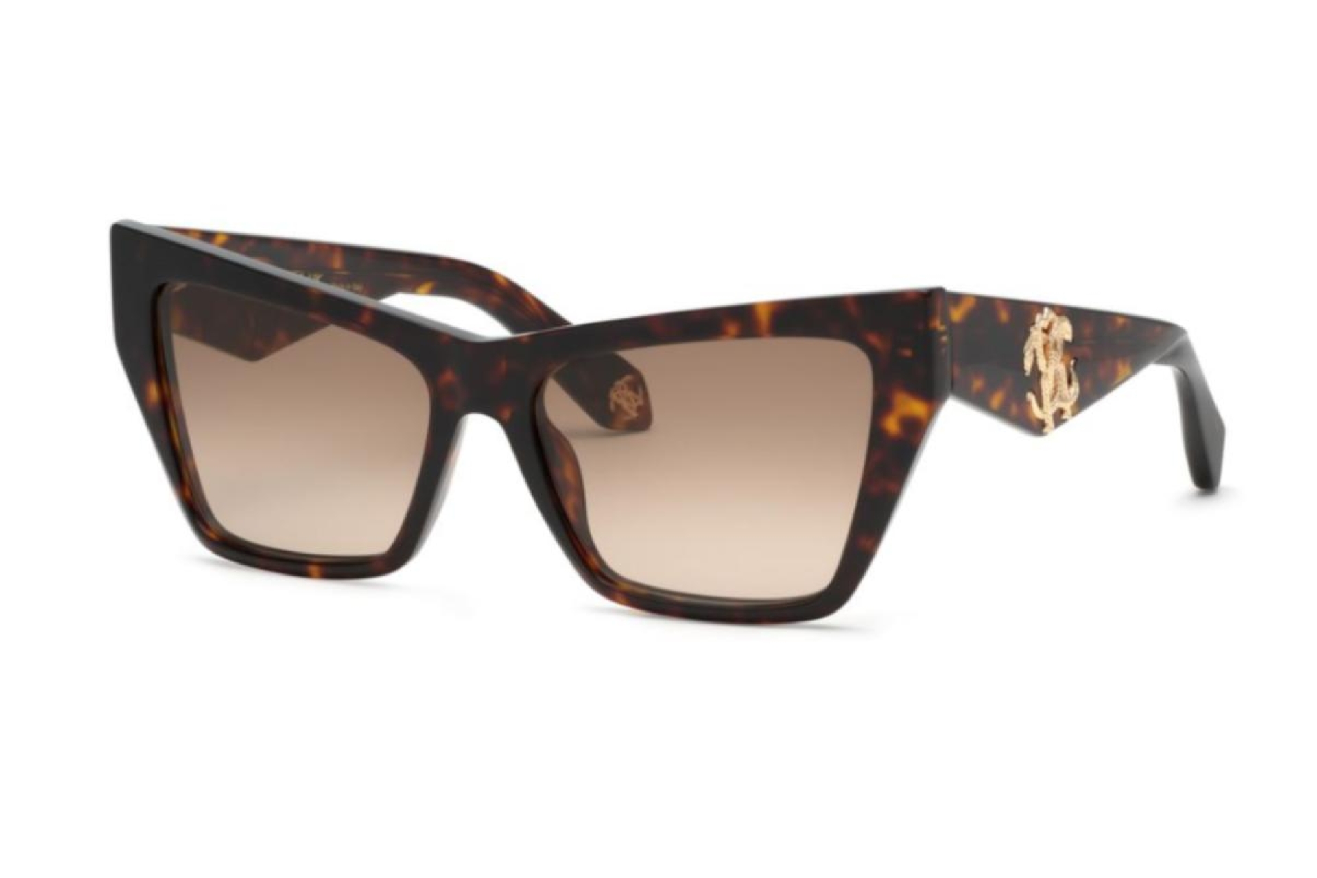 Солнцезащитные очки Roberto Cavalli 114 743