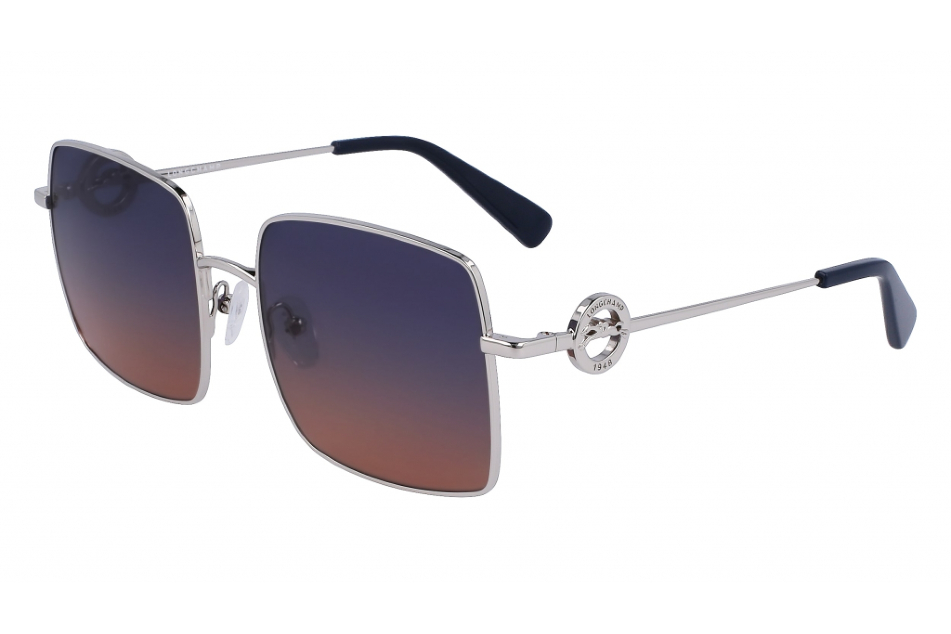 Солнцезащитные очки Longchamp 162S 719