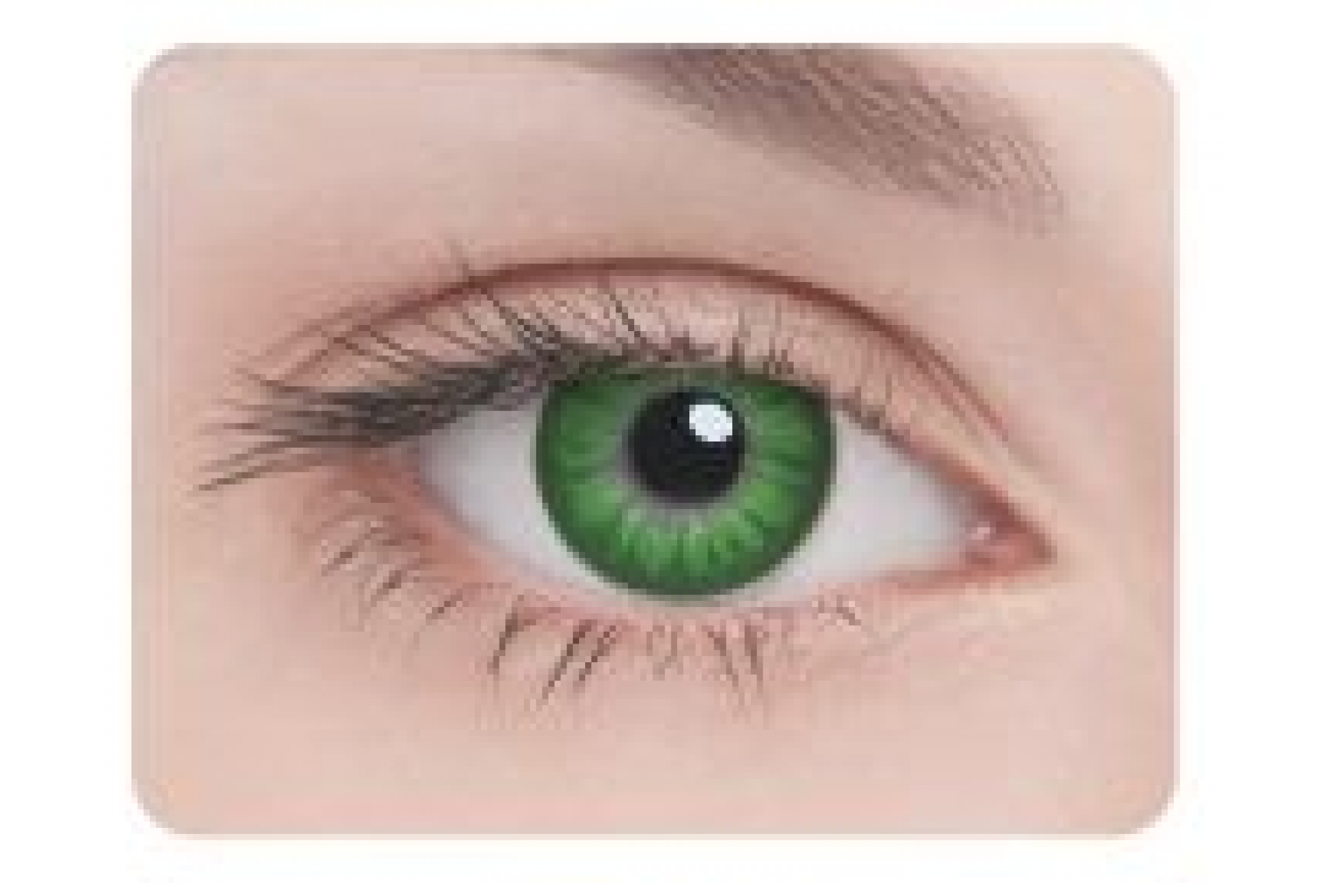 Контактные линзы Adria Glamorous Green 3 мес. (2 линзы)