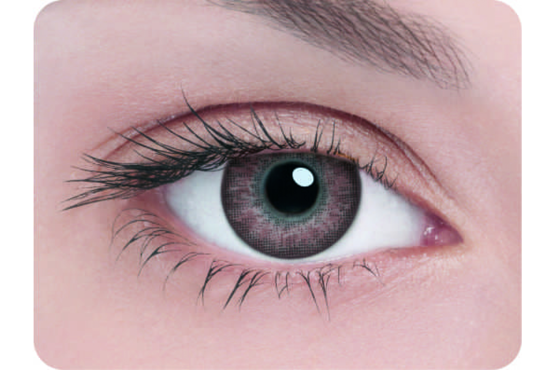 Контактные линзы Adria 2 tone brown 3 мес. (2 линзы)