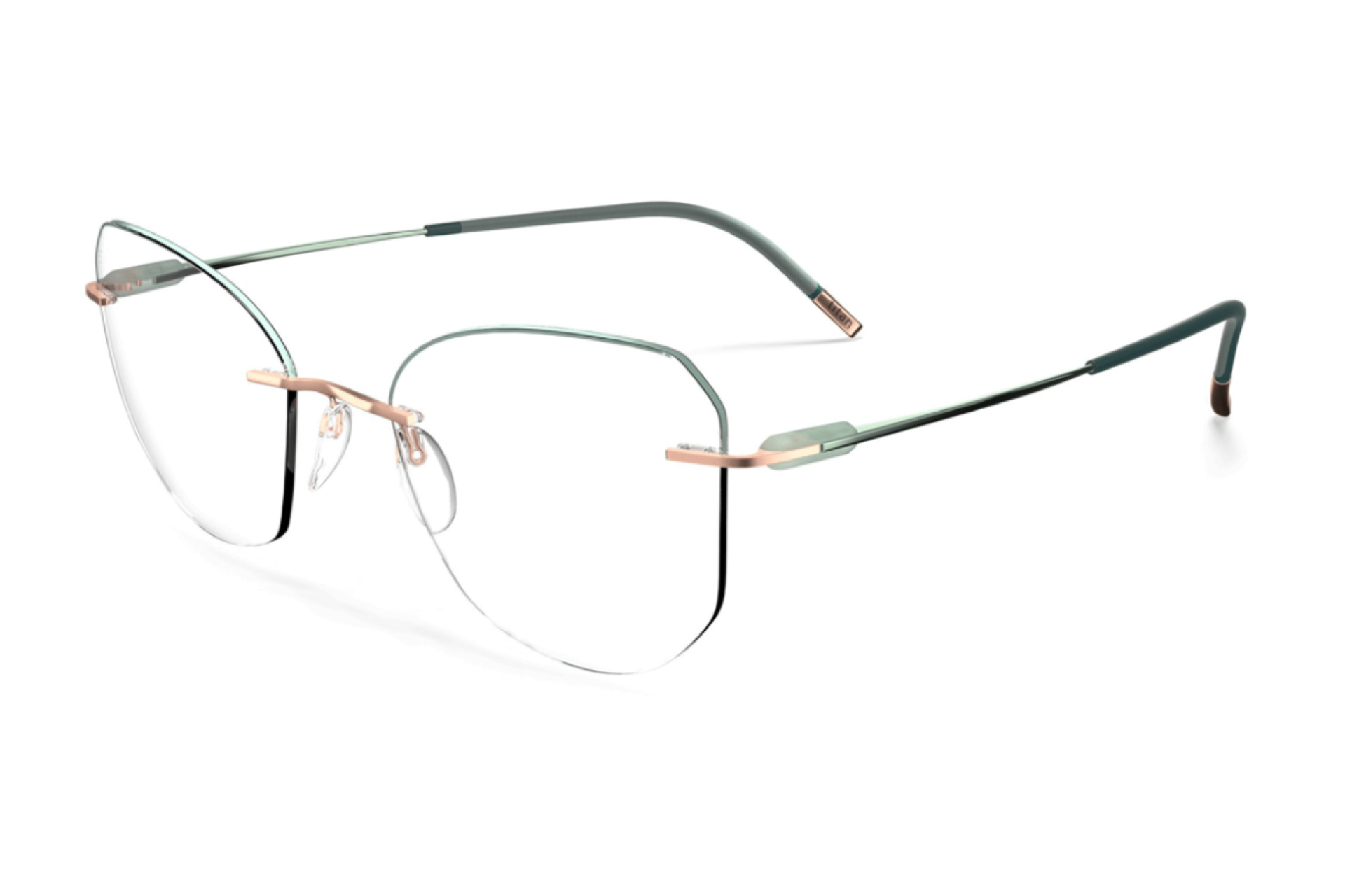 Оправа для очков Silhouette 5561_LM 3685 54/17