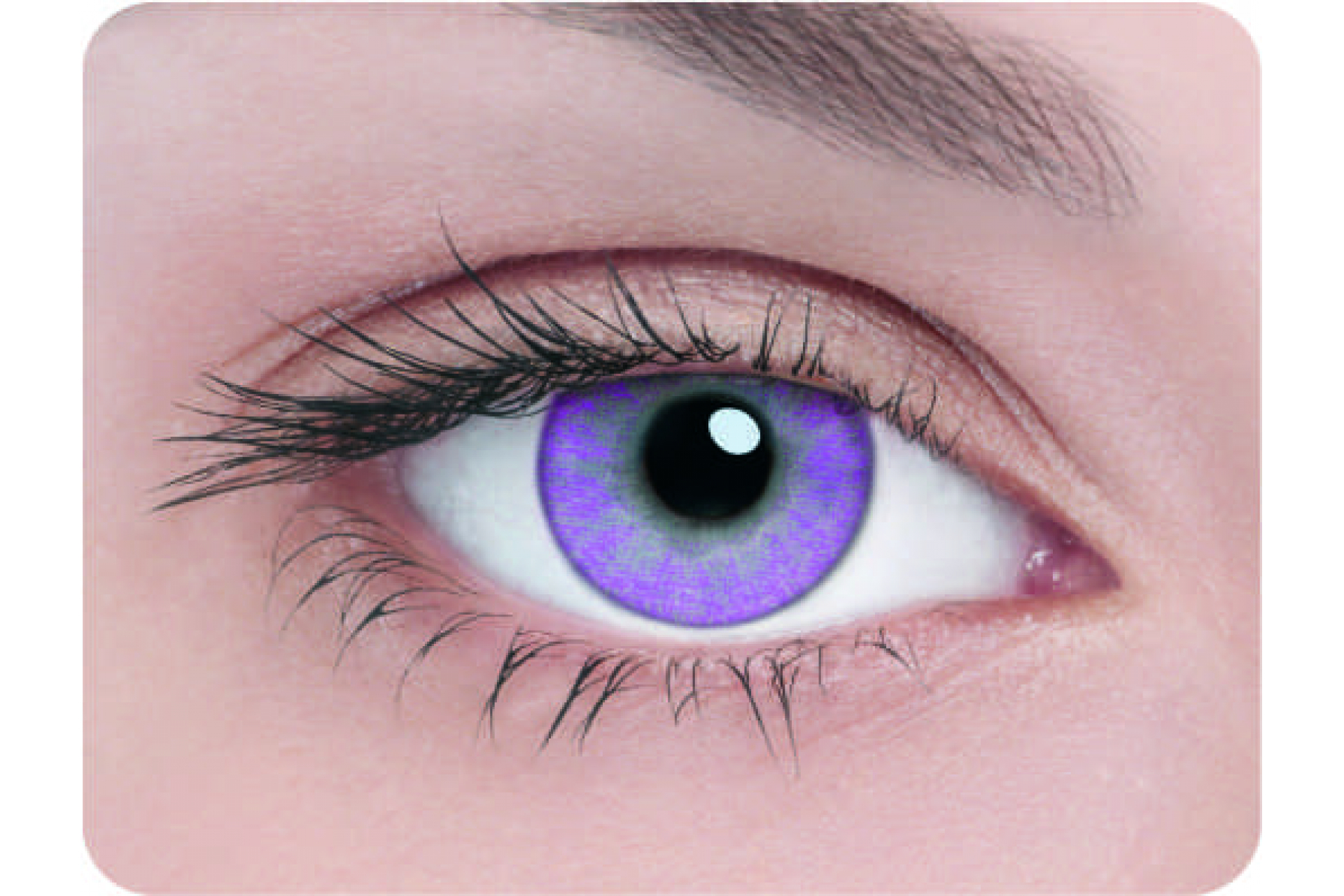 Контактные линзы Adria 1 tone lavender 3 мес. (2 линзы)