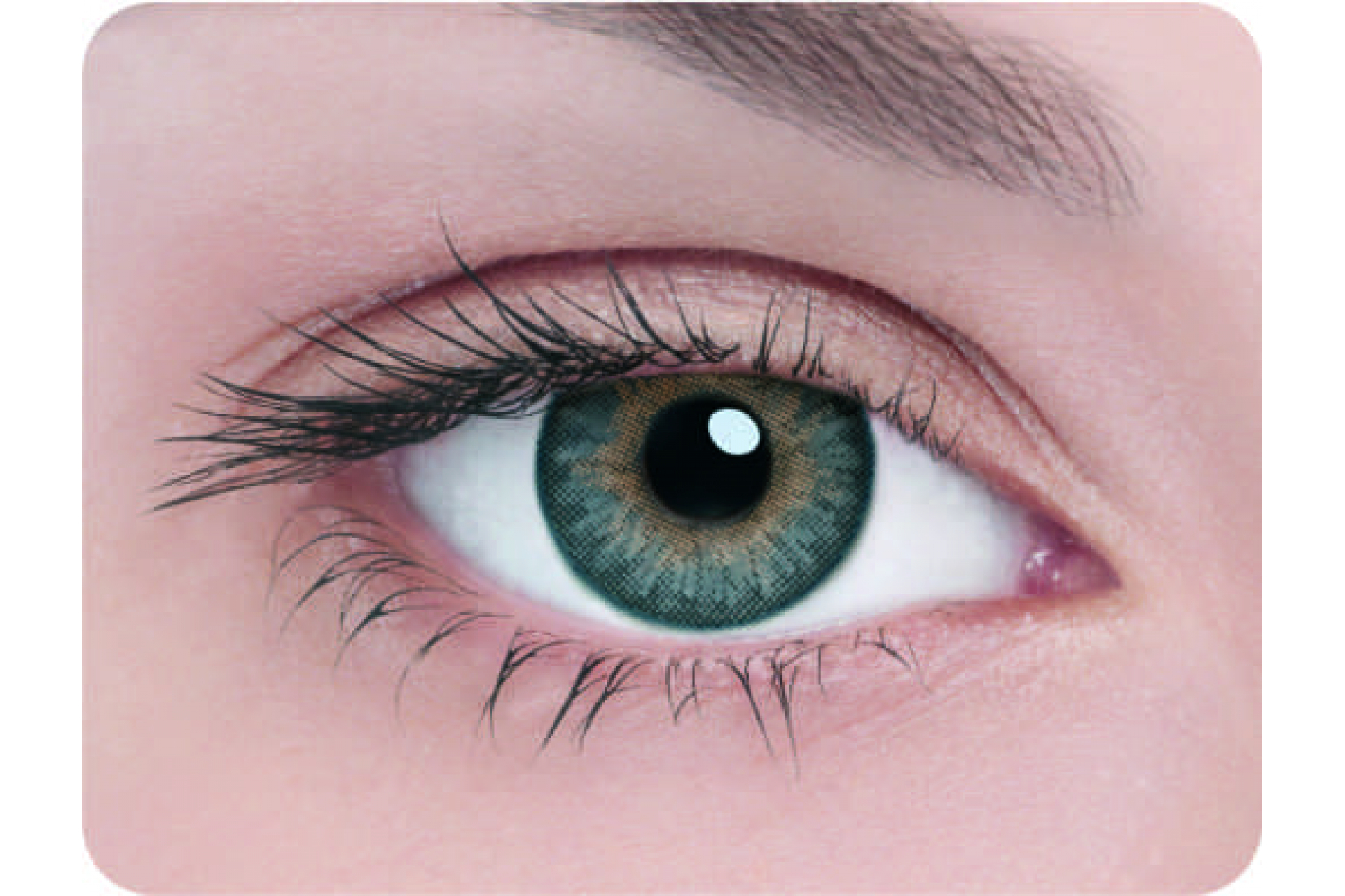 Контактные линзы Adria 3 tone gray 3 мес. (2 линзы)