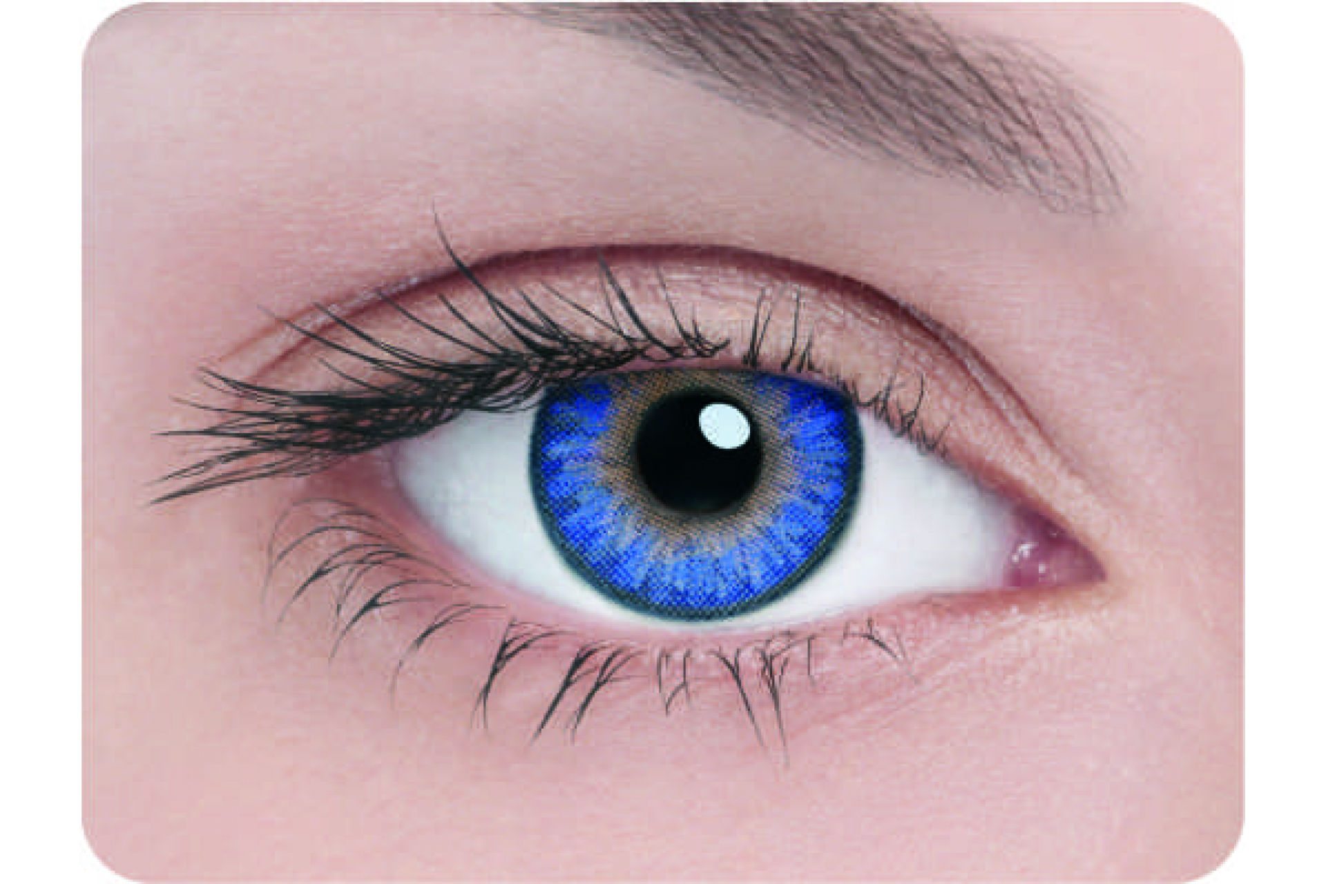 Контактные линзы 3 tone true sapphire 3 мес. (2 линзы)