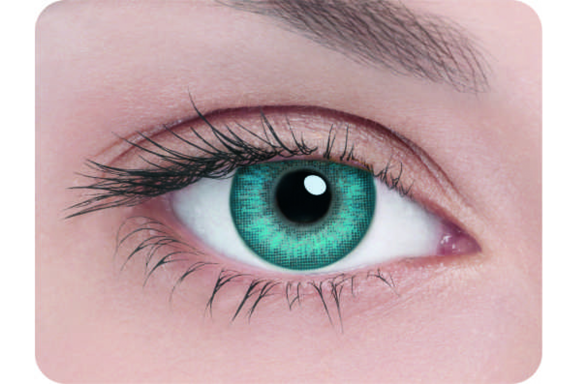 Контактные линзы Adria 2 tone turquoise 3 мес. (2 линзы)