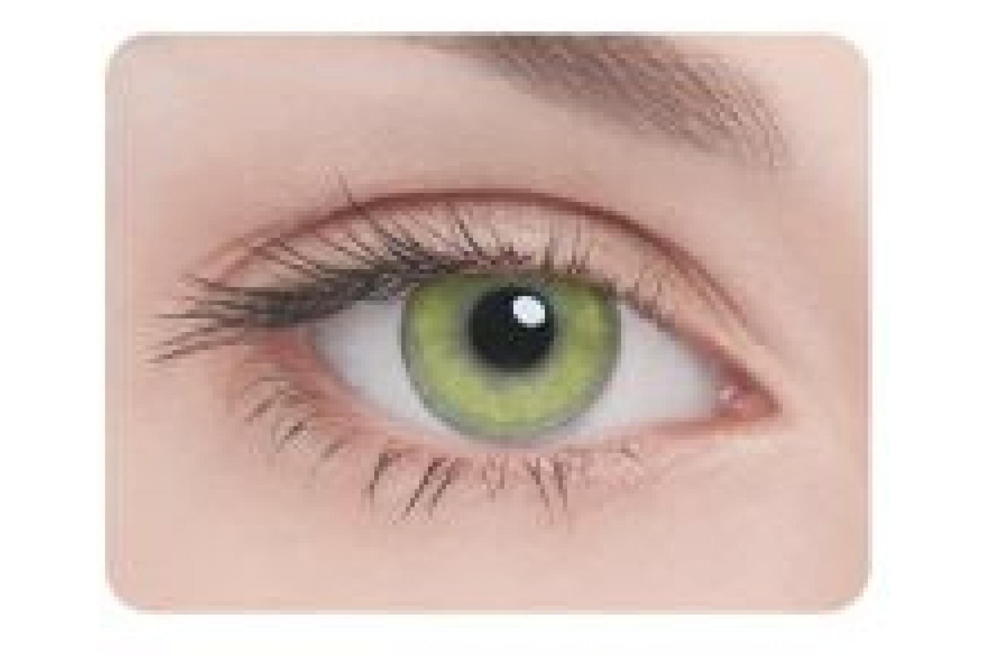 Контактные линзы Adria Glamorous Pure Gold 3 мес. (2 линзы)