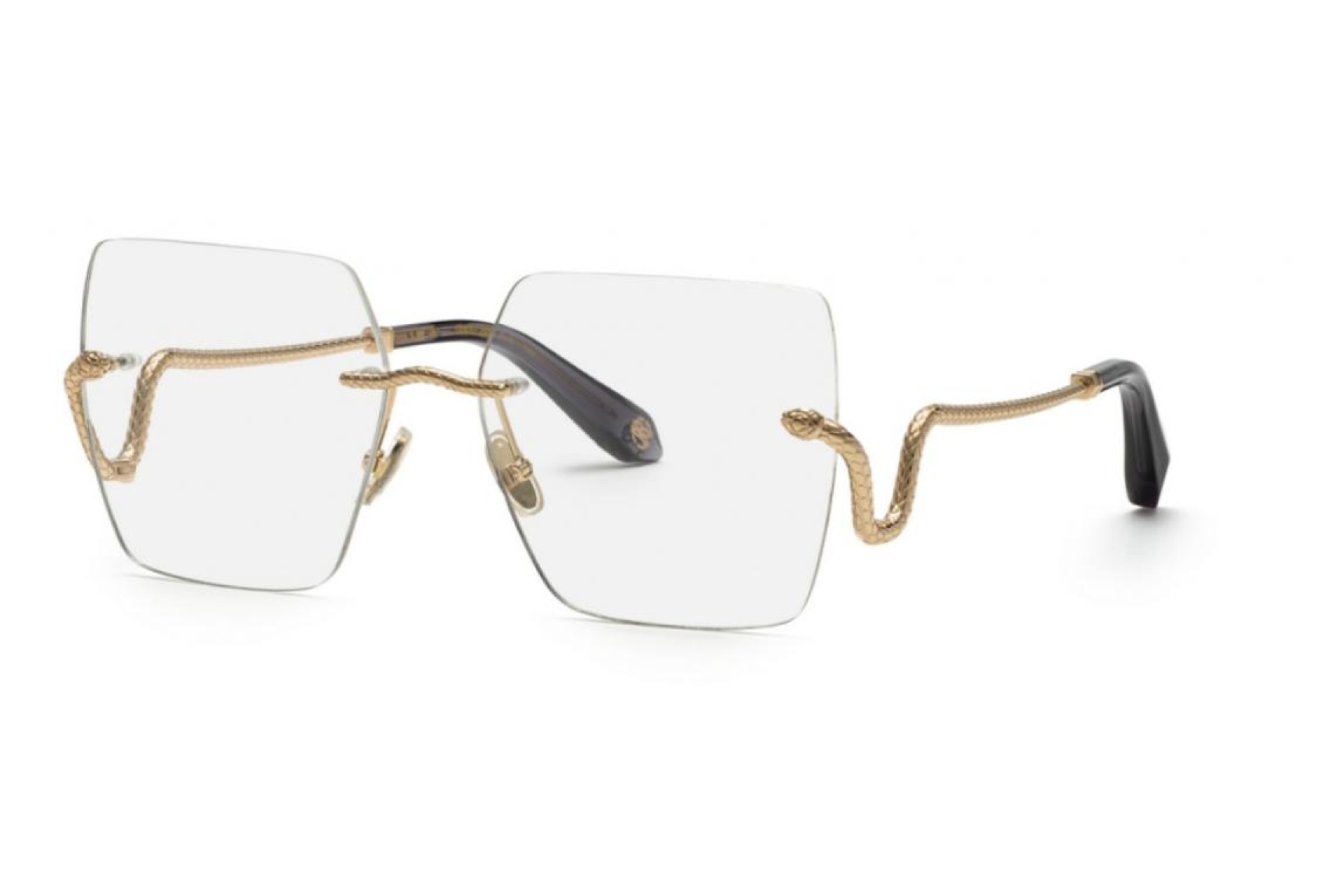 Оправа для очков Roberto Cavalli 077 300