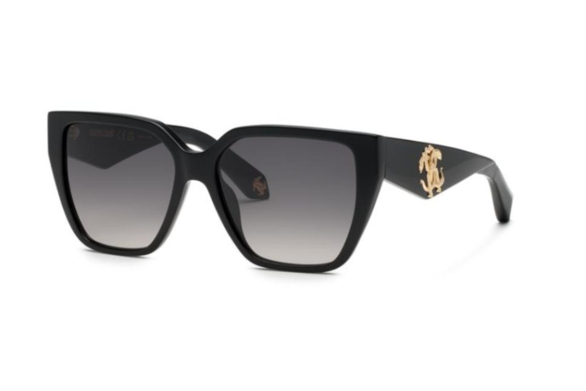 Солнцезащитные очки Roberto Cavalli 137 700.00