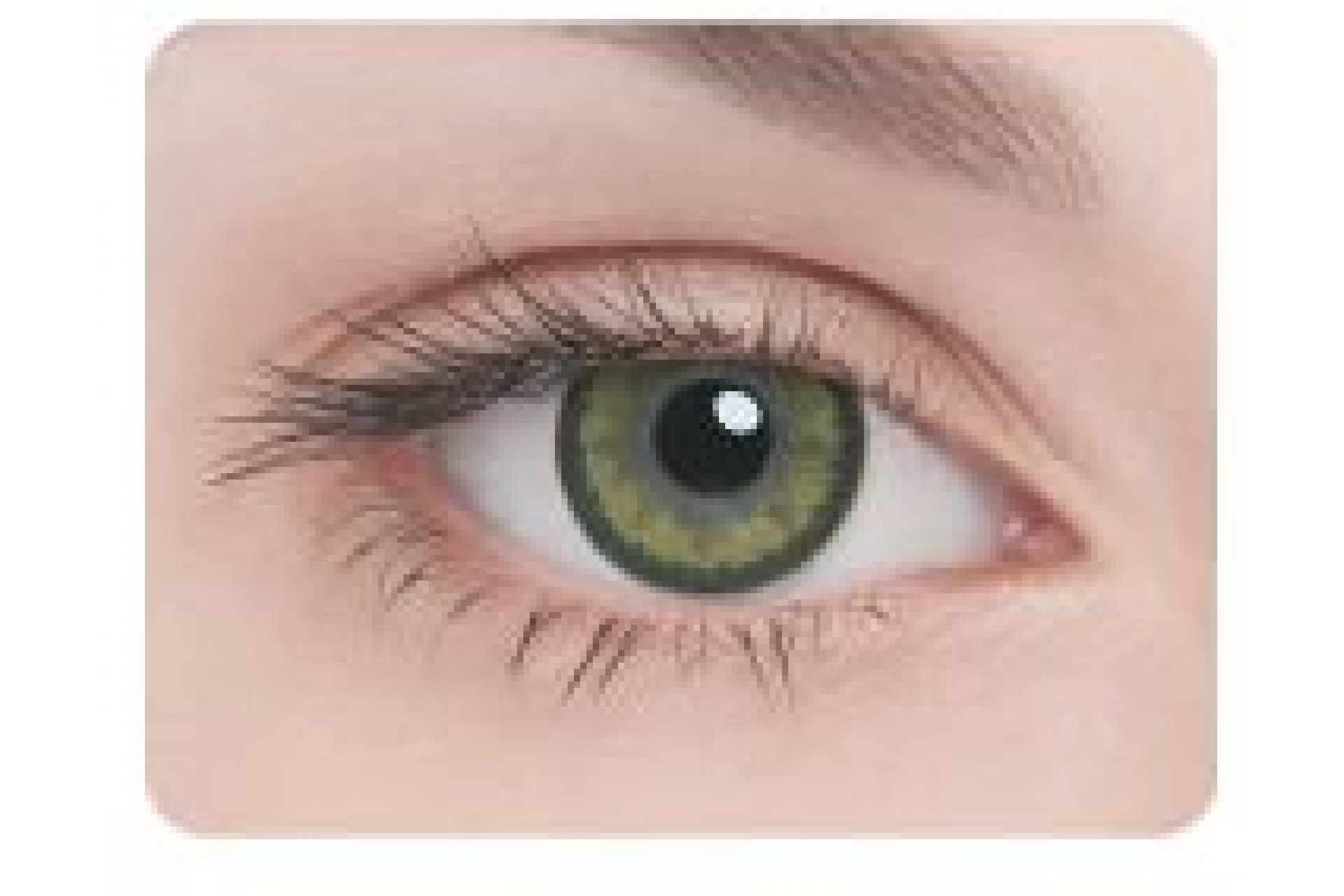 Контактные линзы Adria Glamorous Gold 3 мес. (2 линзы)