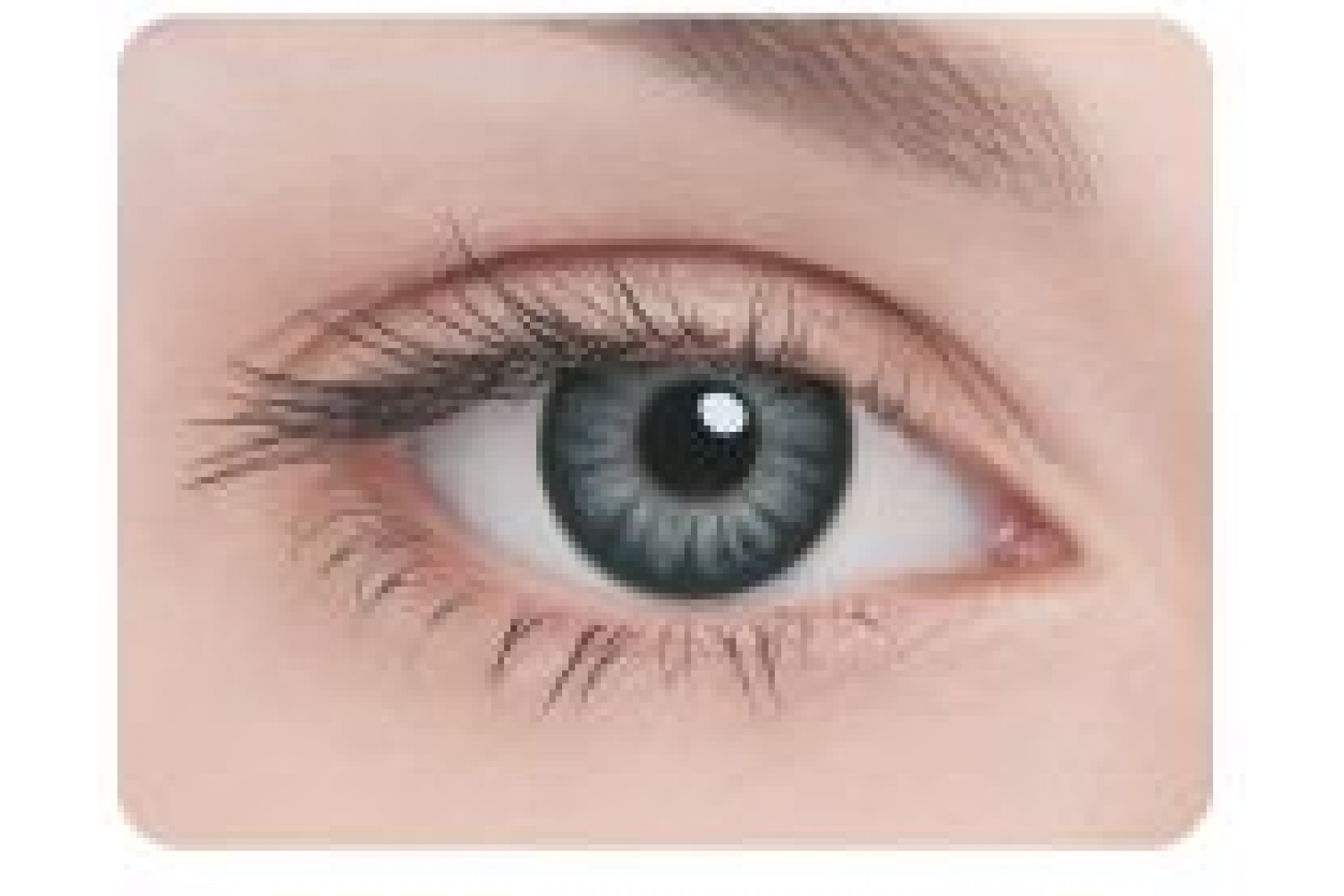 Контактные линзы Adria Glamorous Black 3 мес. (2 линзы)