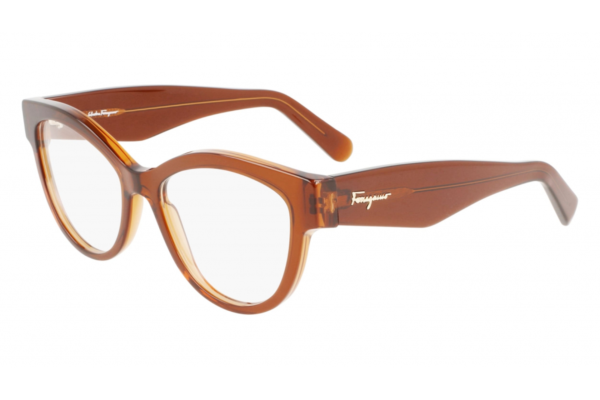 Оправа для очков Salvatore Ferragamo 2934 206