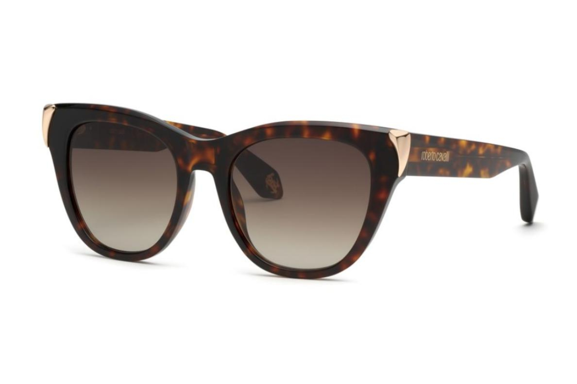 Солнцезащитные очки Roberto Cavalli 095M 743