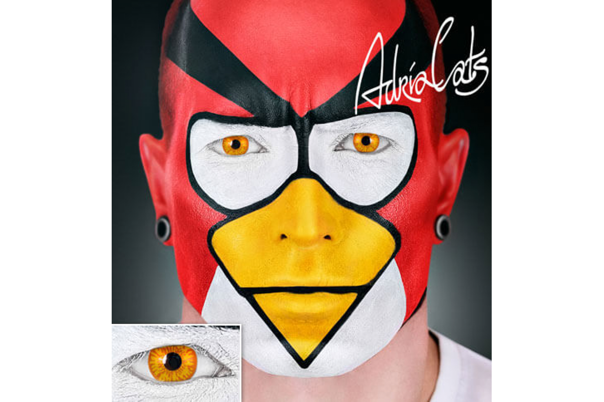 Контактные линзы Adria Crazy Eagle (орел) (1 линза)