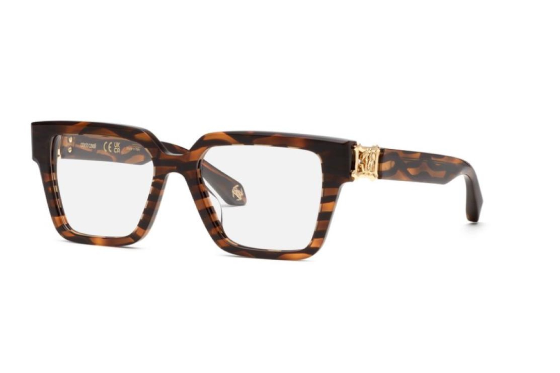 Оправа для очков Roberto Cavalli 100 1AY