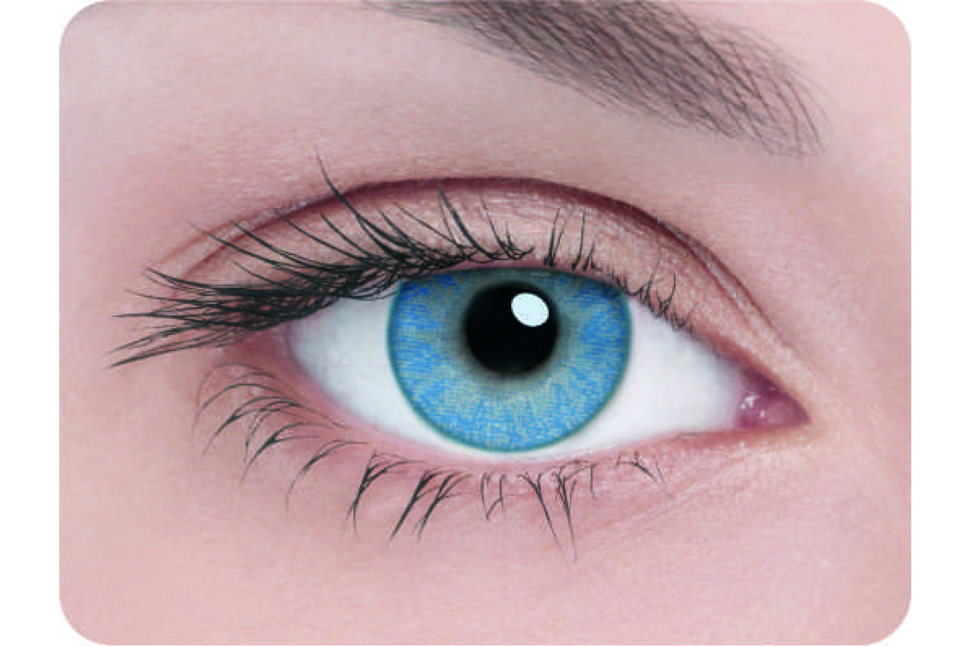 Контактные линзы 1 tone blue 3 мес. (2 линзы)