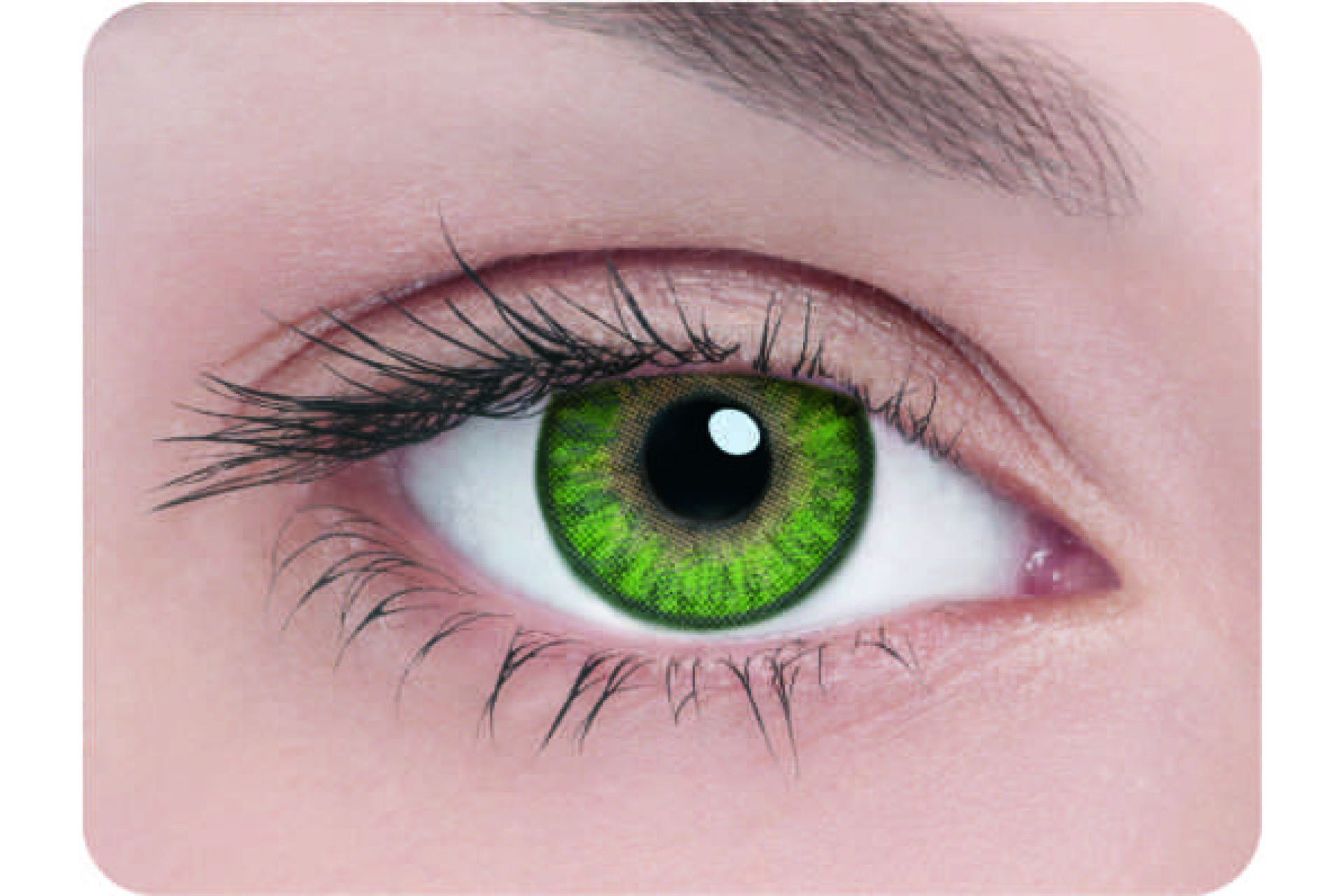 Контактные линзы Adria 3 tone green 3 мес. (2 линзы)