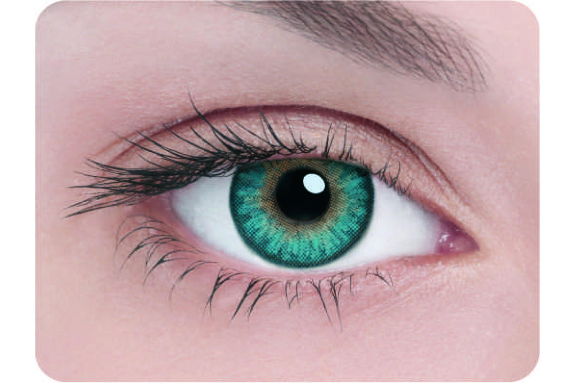 Контактные линзы Adria 3 tone turquoise 3 мес. (2 линзы)