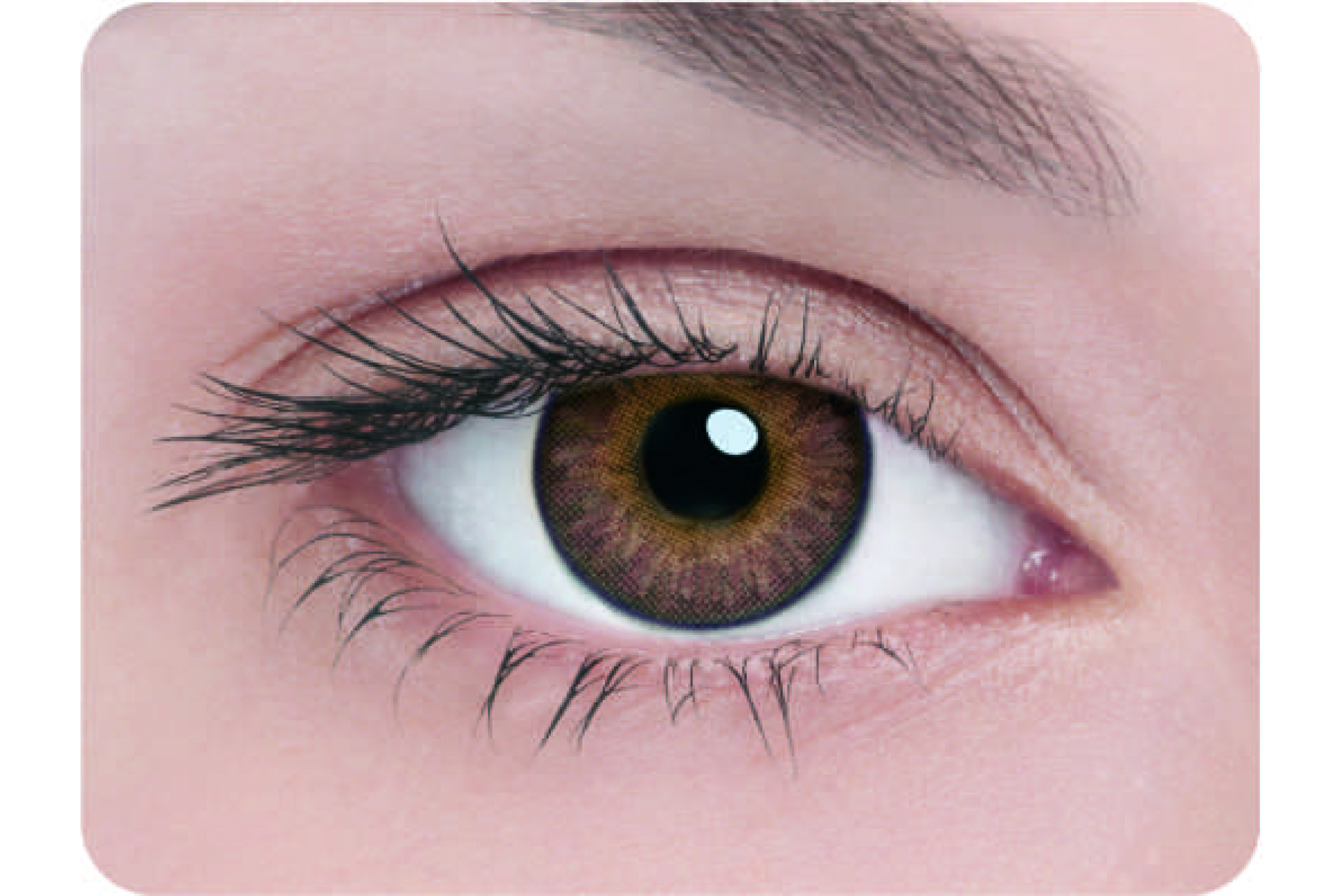 Контактные линзы Adria 3 tone brown 3 мес. (2 линзы)