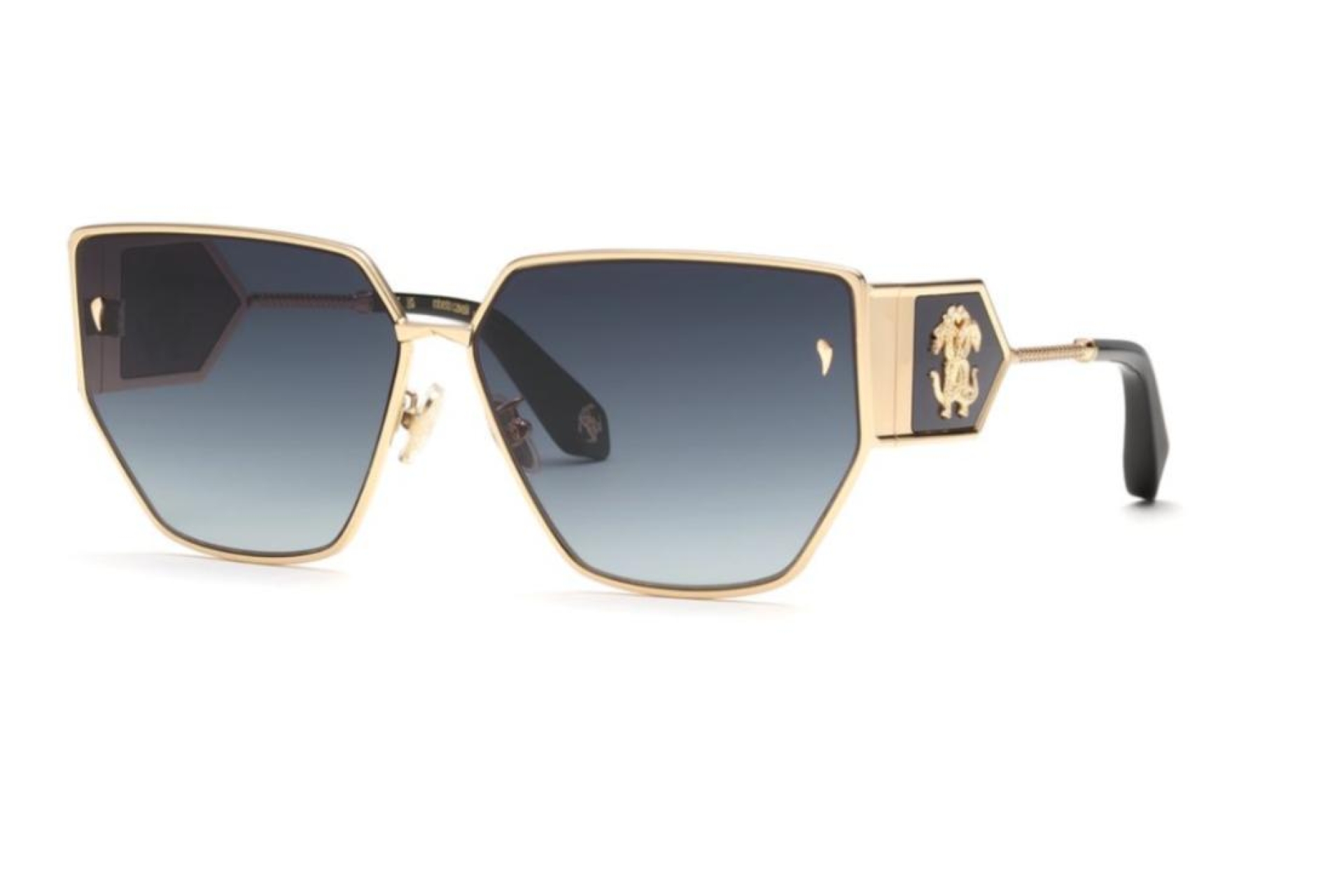 Солнцезащитные очки Roberto Cavalli 092 300F