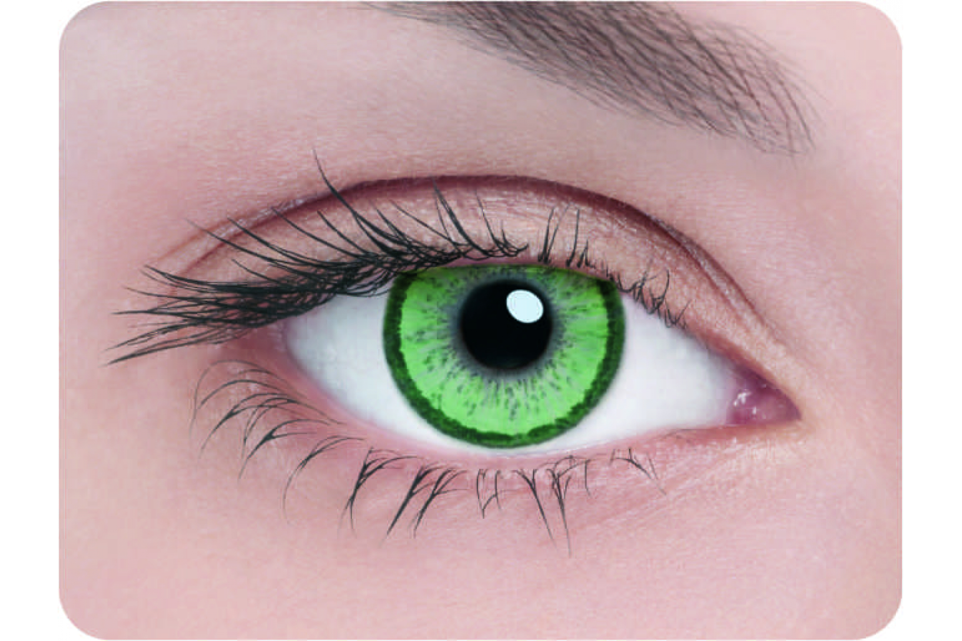 Контактные линзы Adria Elegant green 3 мес. (2 линзы)